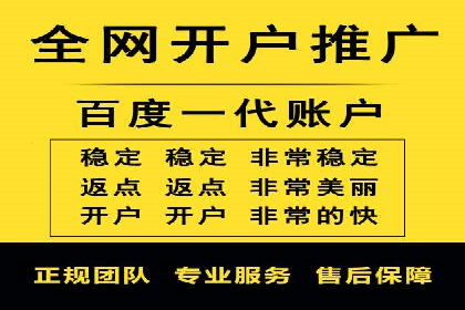 SEM竞价优化实战：提升转化率案例分析