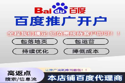 SEM推广优化策略：成功案例解析